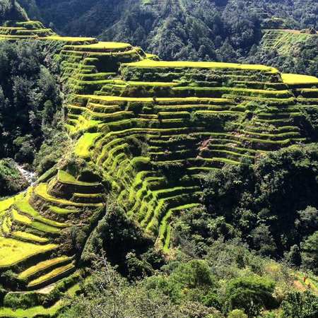 Batad Village Tour